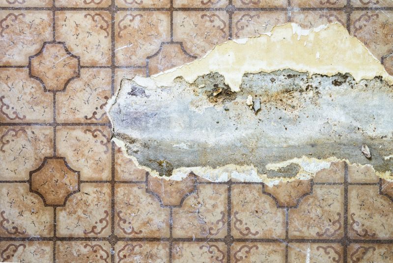 Interior Damage Inspection